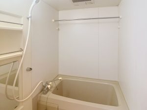 ＧＲＡＮＤ　ＳＵＮＰＩＡ_０１０５_その他画像1_バス